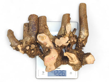 Large hazel root wood piece with dark bark and light exposed wood, weighing 1226g on a digital scale.