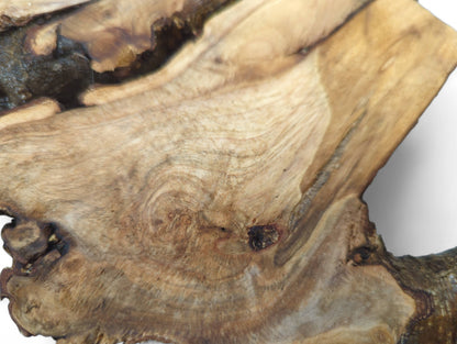 Detailed view of a light brown hazel root wood slice, featuring swirling grain patterns and dark knot details.