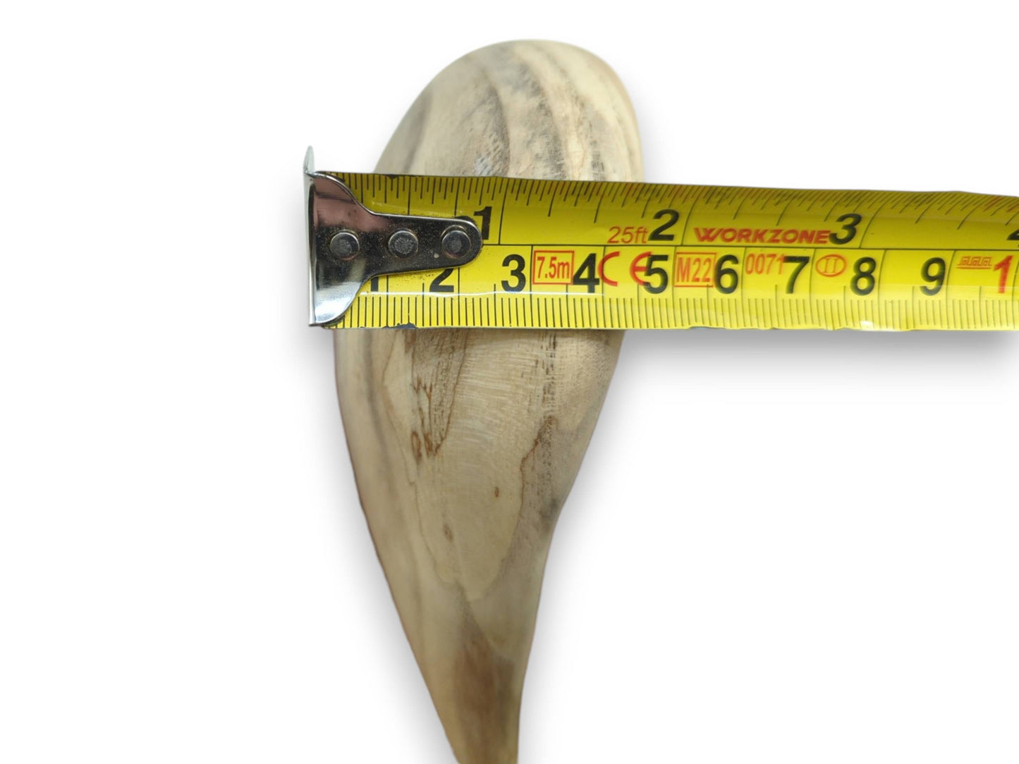 A yellow tape measure spans the top lobes of a pale timber heart, showing linear grain.
