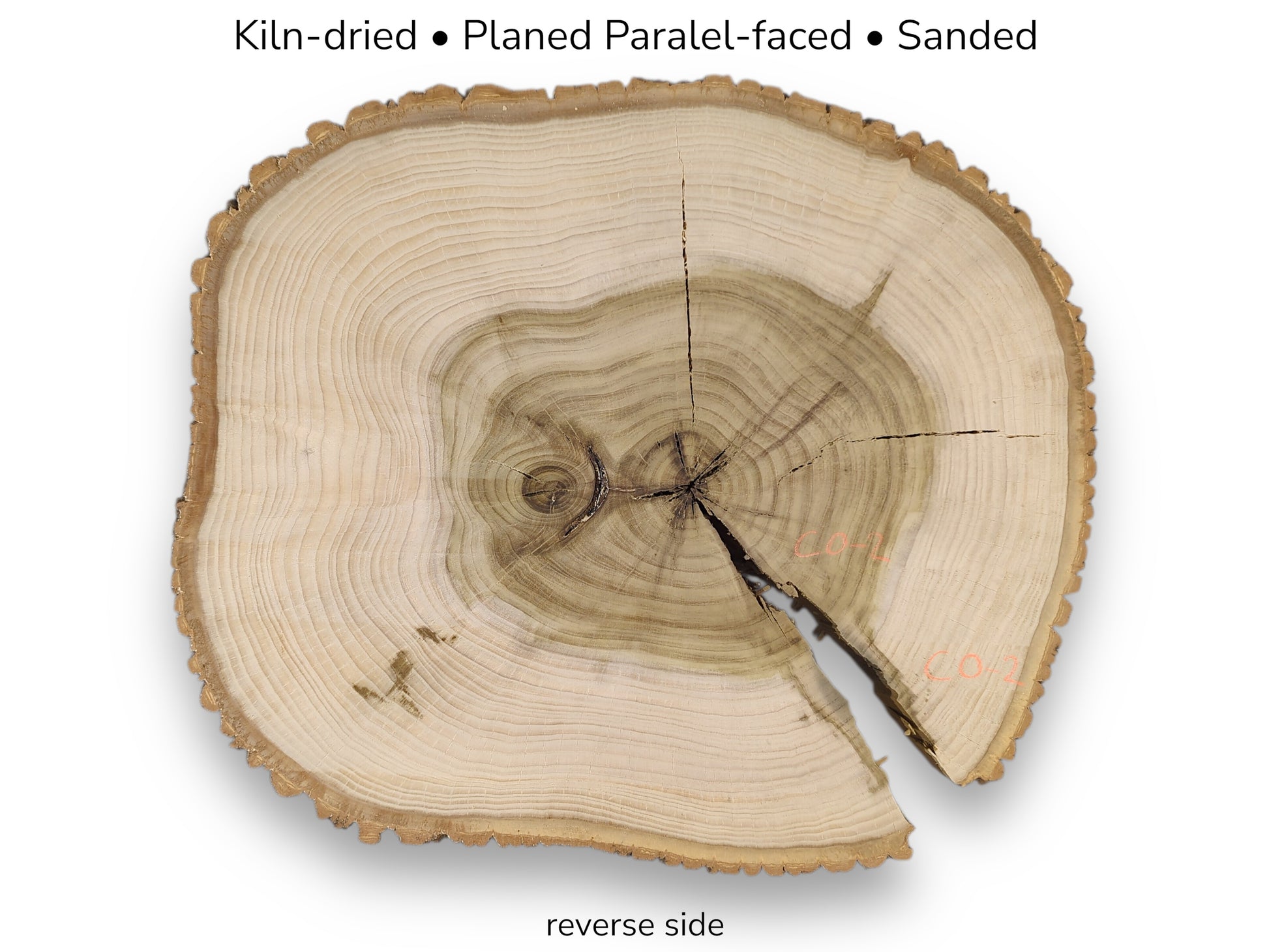 Round wood slice, reverse side with bark, showing two-toned end grain, growth rings, and cracks. Text lists processing.