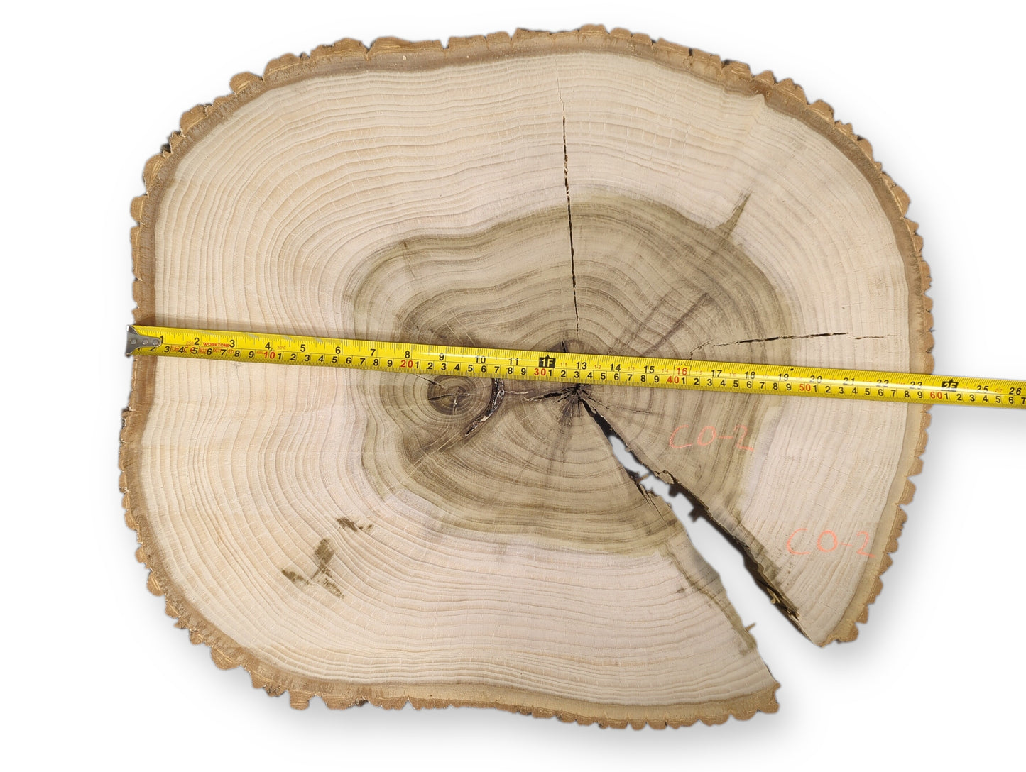 Rustic live edge wood round, light end grain, dark heartwood, rings, cracks, and a yellow measuring tape.