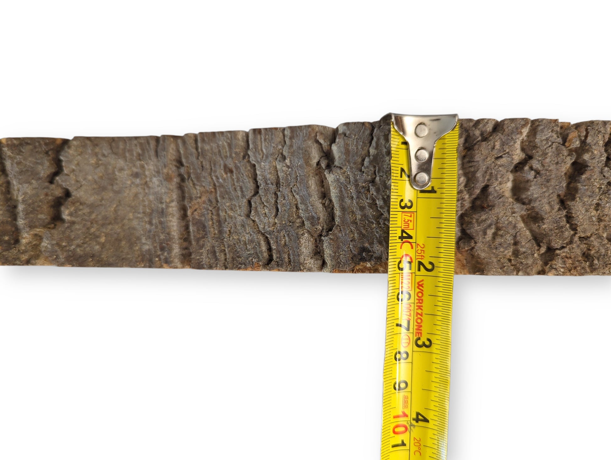 Side profile of a natural wood piece with dark, textured bark, measured by a yellow tape.