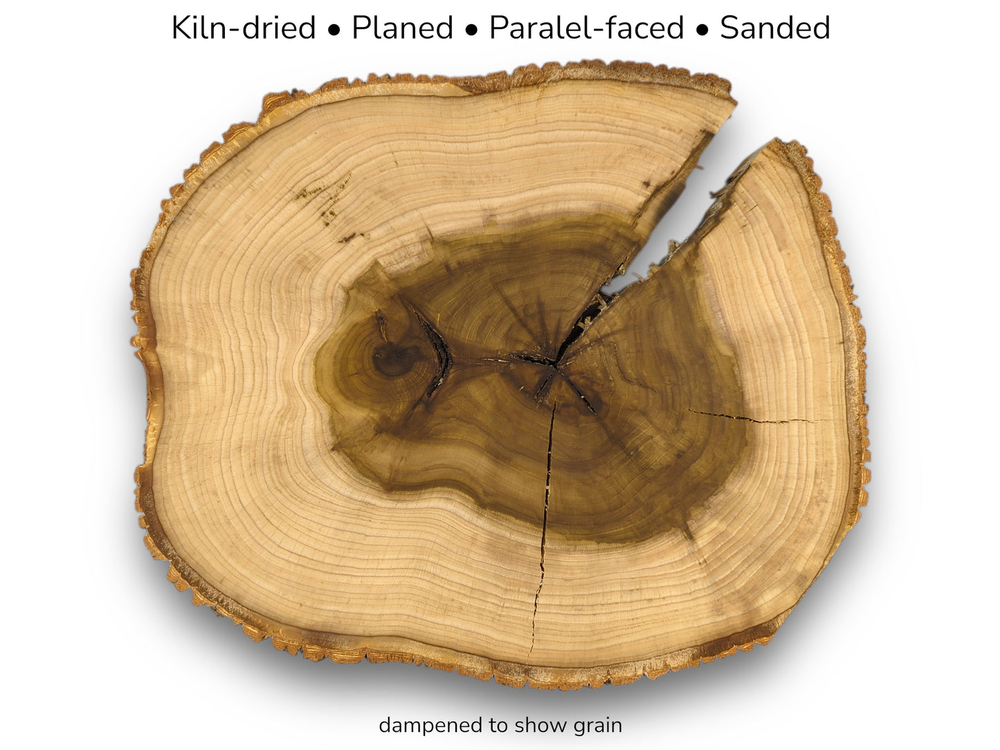 This cracked wood round features a dark, star-shaped pith surrounded by light-colored growth rings.
