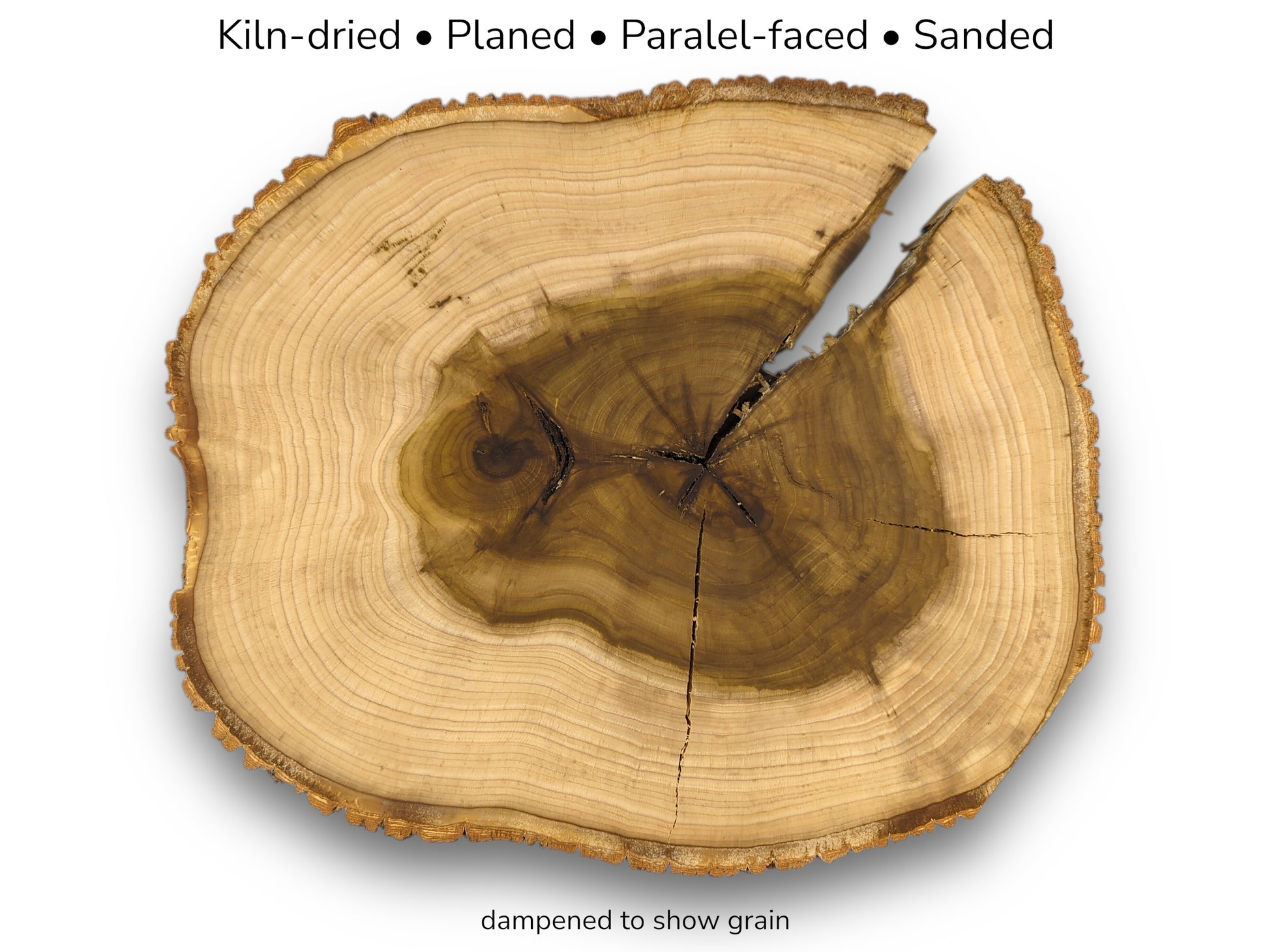 This cracked wood round features a dark, star-shaped pith surrounded by light-colored growth rings.