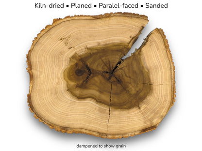 This cracked wood round features a dark, star-shaped pith surrounded by light-colored growth rings.