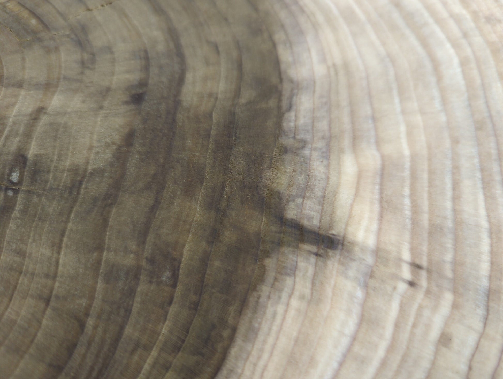 Textured wood surface showing distinct, wavy end grain patterns, ranging from light beige to dark brown.
