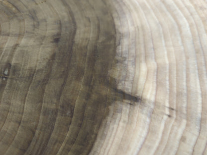Textured wood surface showing distinct, wavy end grain patterns, ranging from light beige to dark brown.