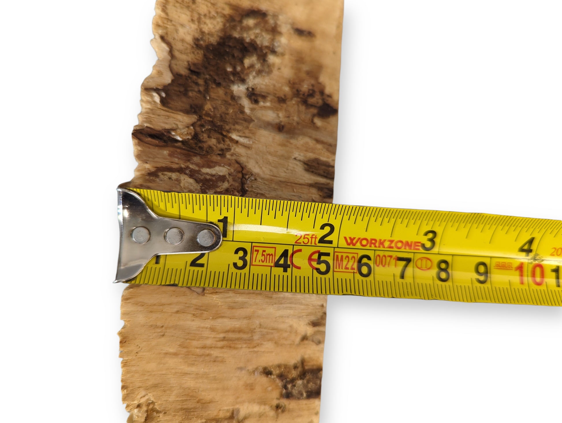 Irregular light brown wood piece, possibly pine, with dark spalting, measured by a yellow tape.
