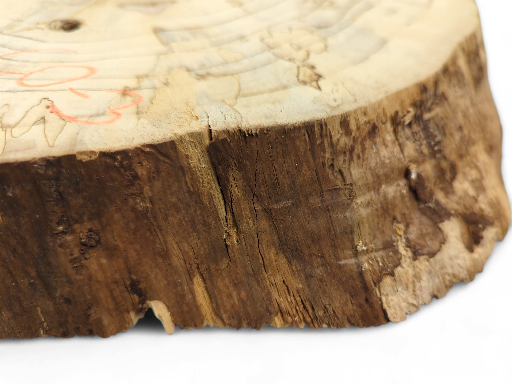 Light pine wood slice with growth rings, a red mark, and a dark, cracked bark edge.