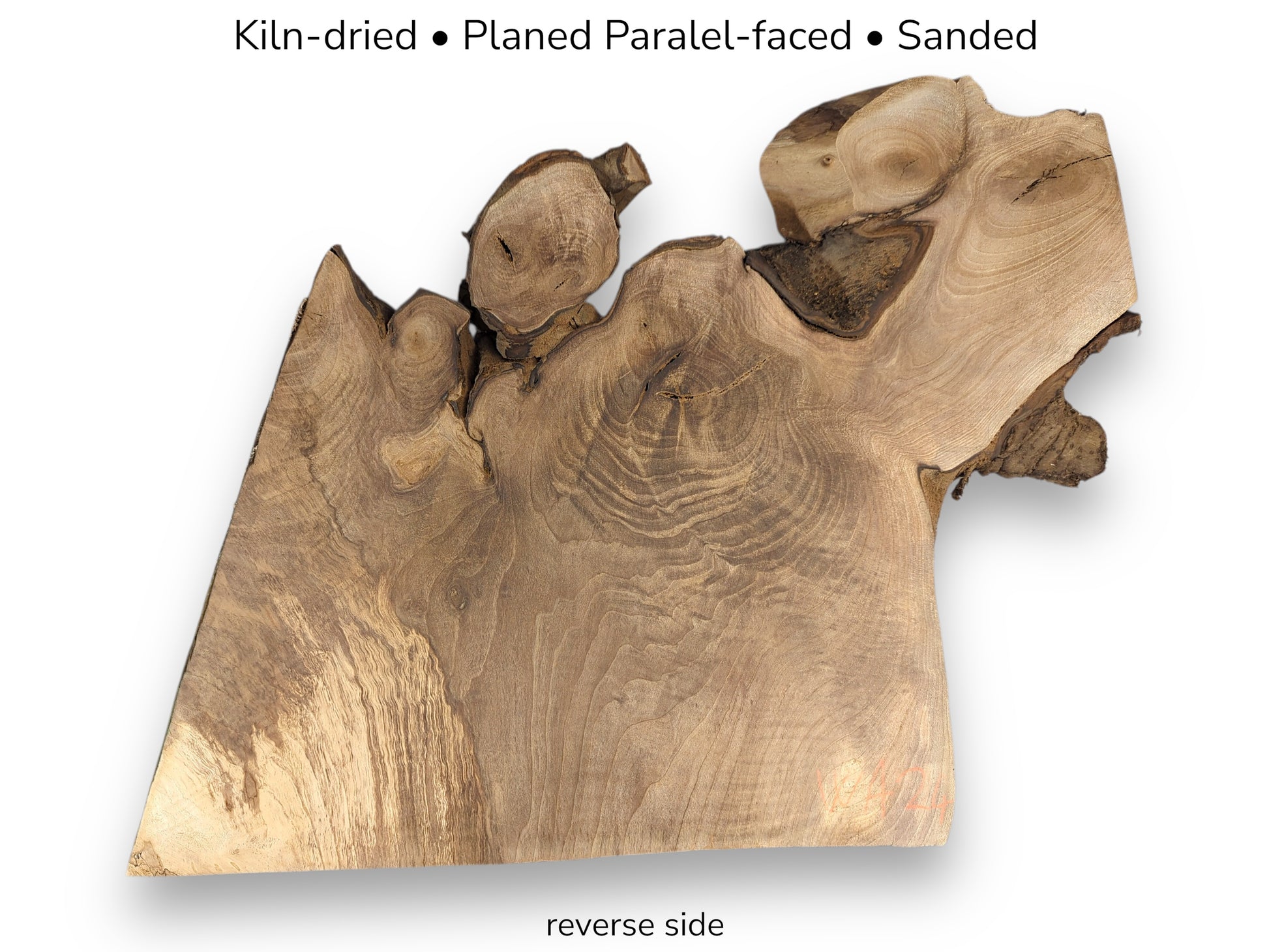 Visual displaying a light brown, live edge English walnut root wood slice reverse side, plus preparation text.