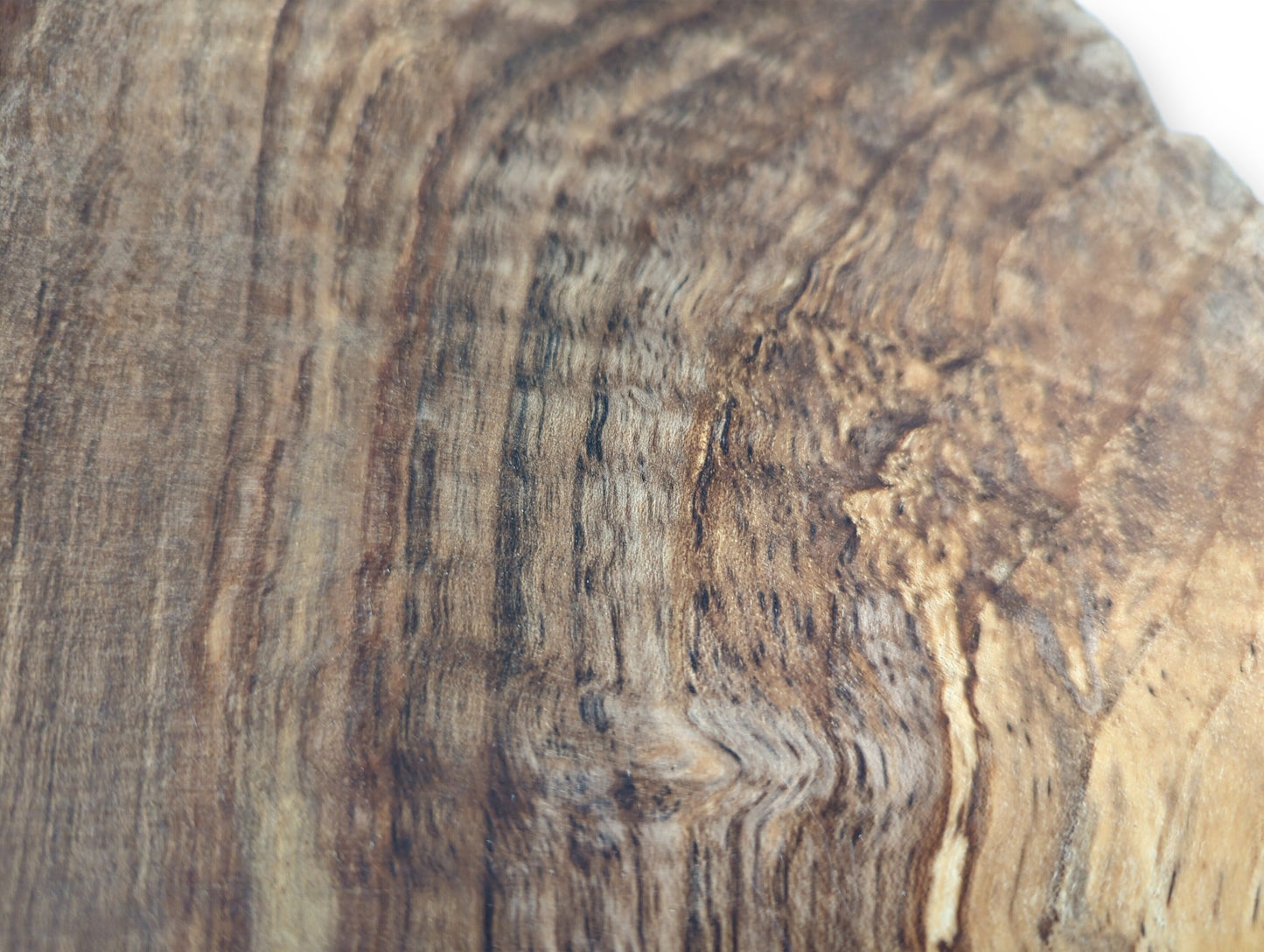 Surface of an English walnut wood slice, displaying rich brown tones and distinct wavy, vertical grain patterns.