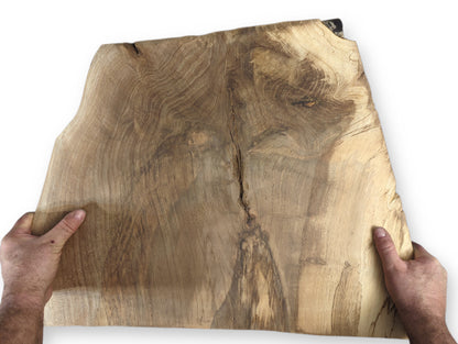 Two hands hold an irregularly shaped, light brown live edge walnut wood slice with dark grain and central crack.