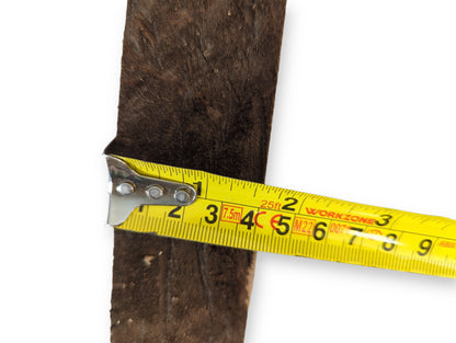 Measuring tape, yellow with silver tip, shows the width of a dark brown, rough wood slice.