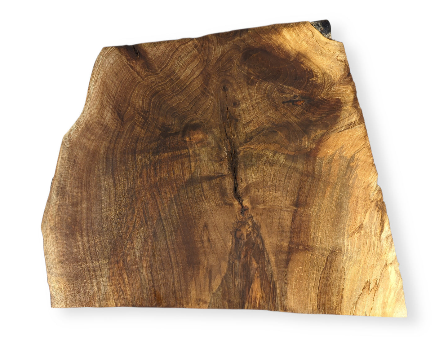Irregularly shaped live edge wood slice displays intricate swirling grain patterns in diverse shades of brown.