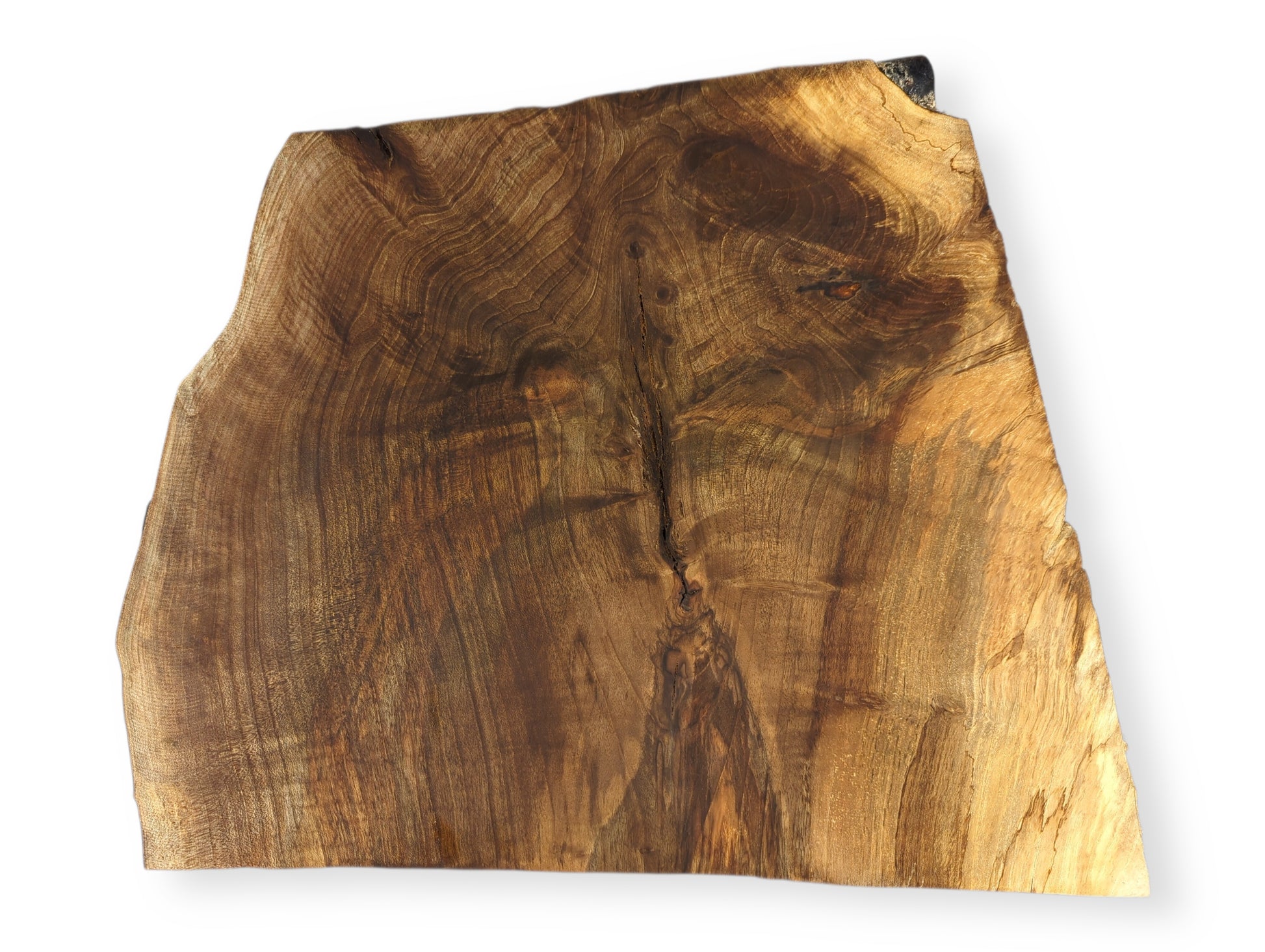 Irregularly shaped live edge wood slice displays intricate swirling grain patterns in diverse shades of brown.
