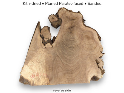 Light brown walnut root slice exhibiting swirling grain, rough edges, and text indicating reverse side.