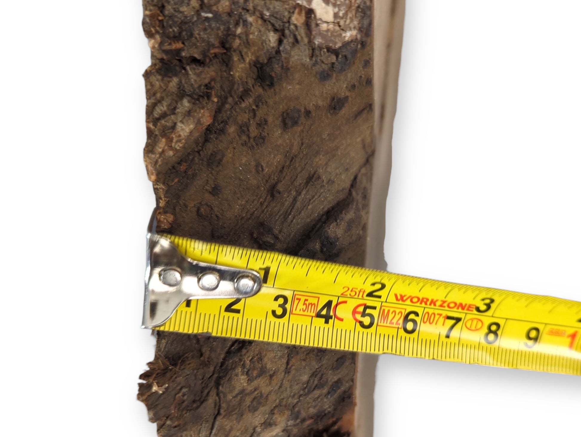 Close-up of a yellow tape measure extending across a dark, rough live edge of English walnut root wood.