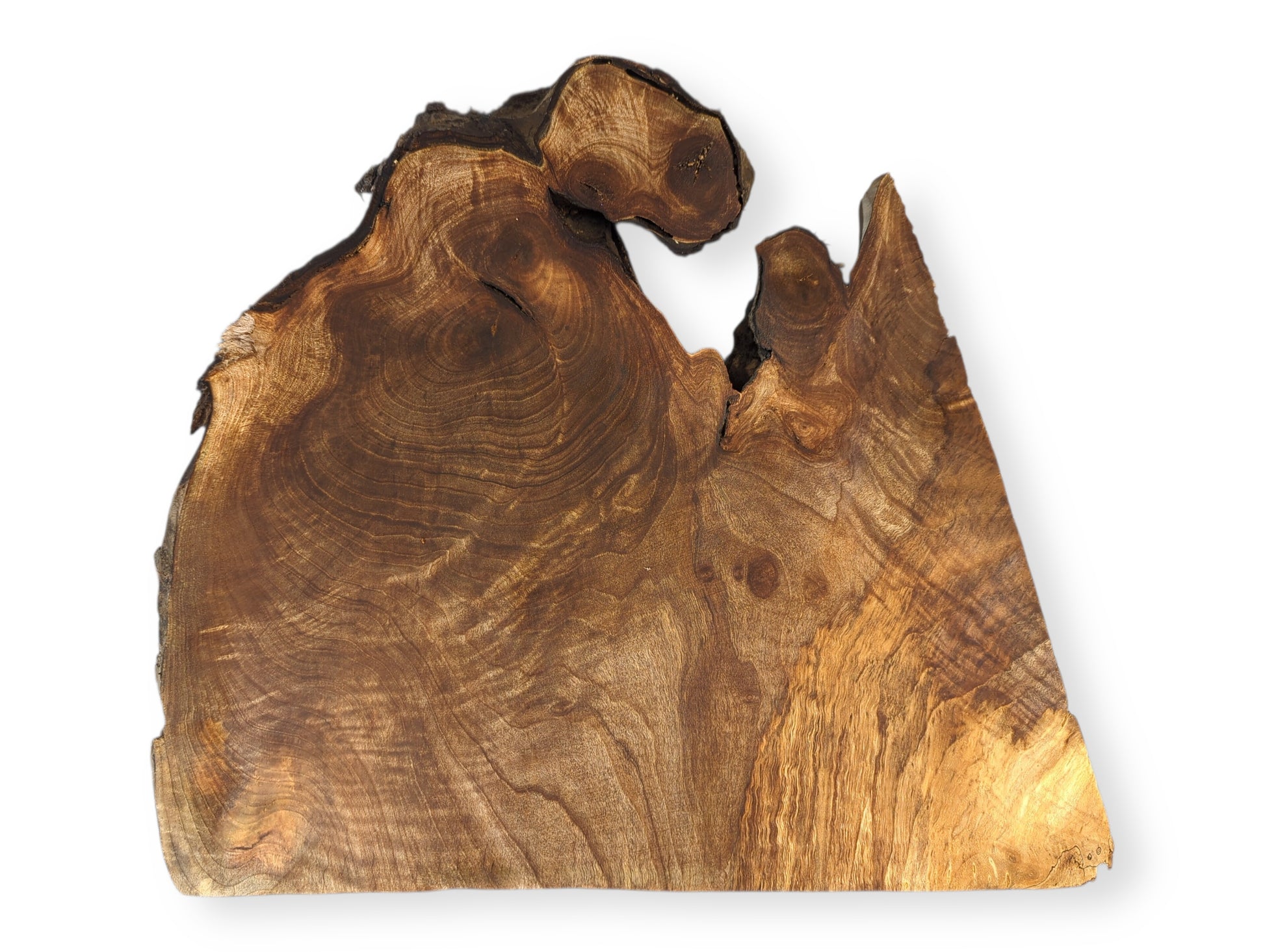 Smooth, irregular English walnut root wood slice with dark live edges and intricate swirling brown grain patterns.