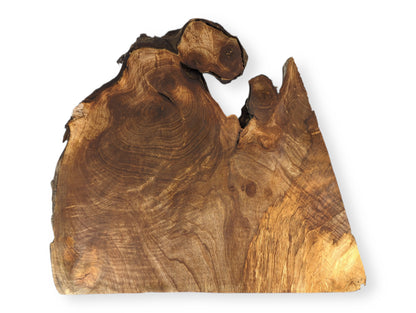 Smooth, irregular English walnut root wood slice with dark live edges and intricate swirling brown grain patterns.