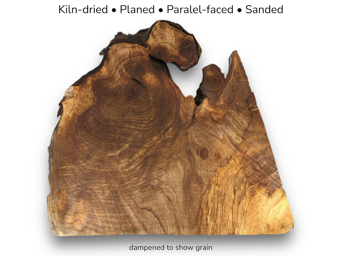 Irregular dark brown walnut root slice displaying swirling grain patterns and jagged edges with text details.