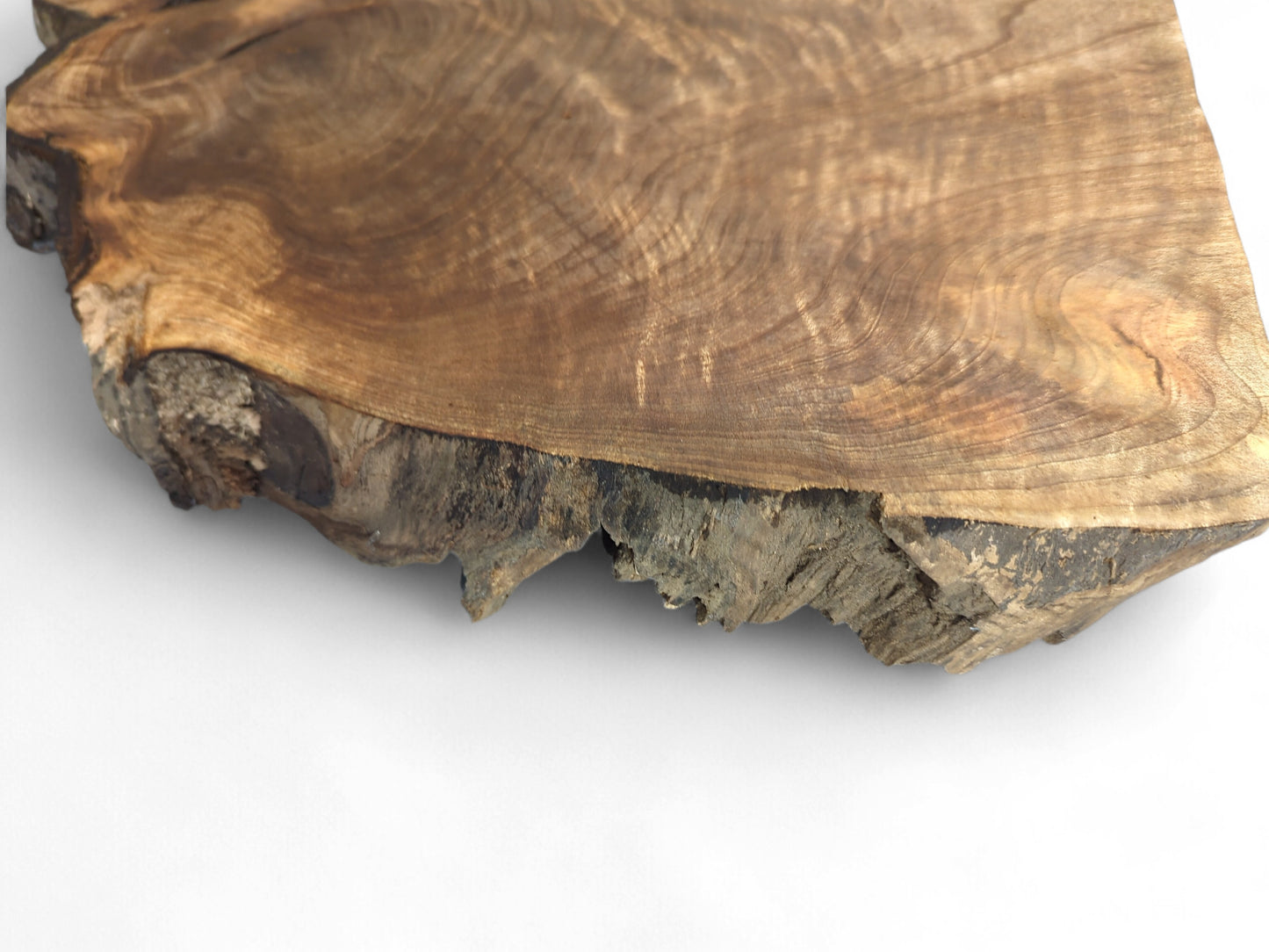 Close-up of an English walnut root wood slice, with visible swirling grain and a textured live edge.