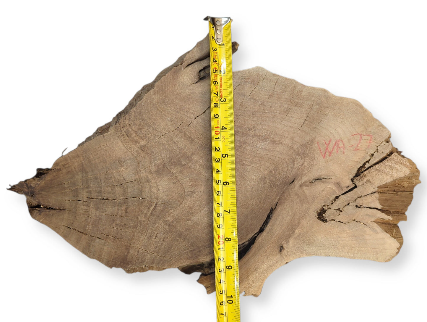 A brown English walnut slice with live edge, cracks, red 'WA-27' code, measured by yellow tape.