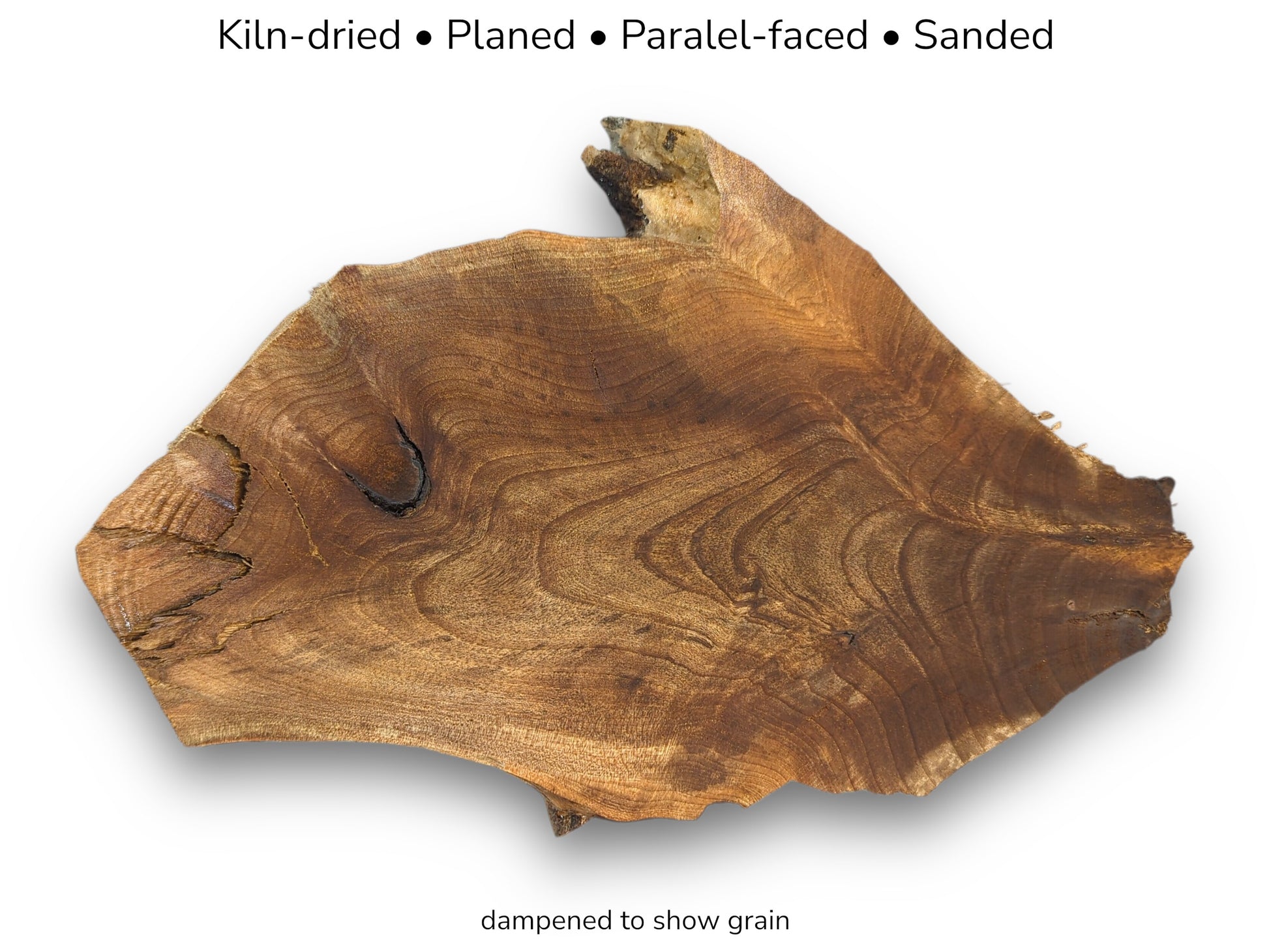 Dampened walnut root slice showing rich grain with text indicating kiln-dried, planed, and sanded status.
