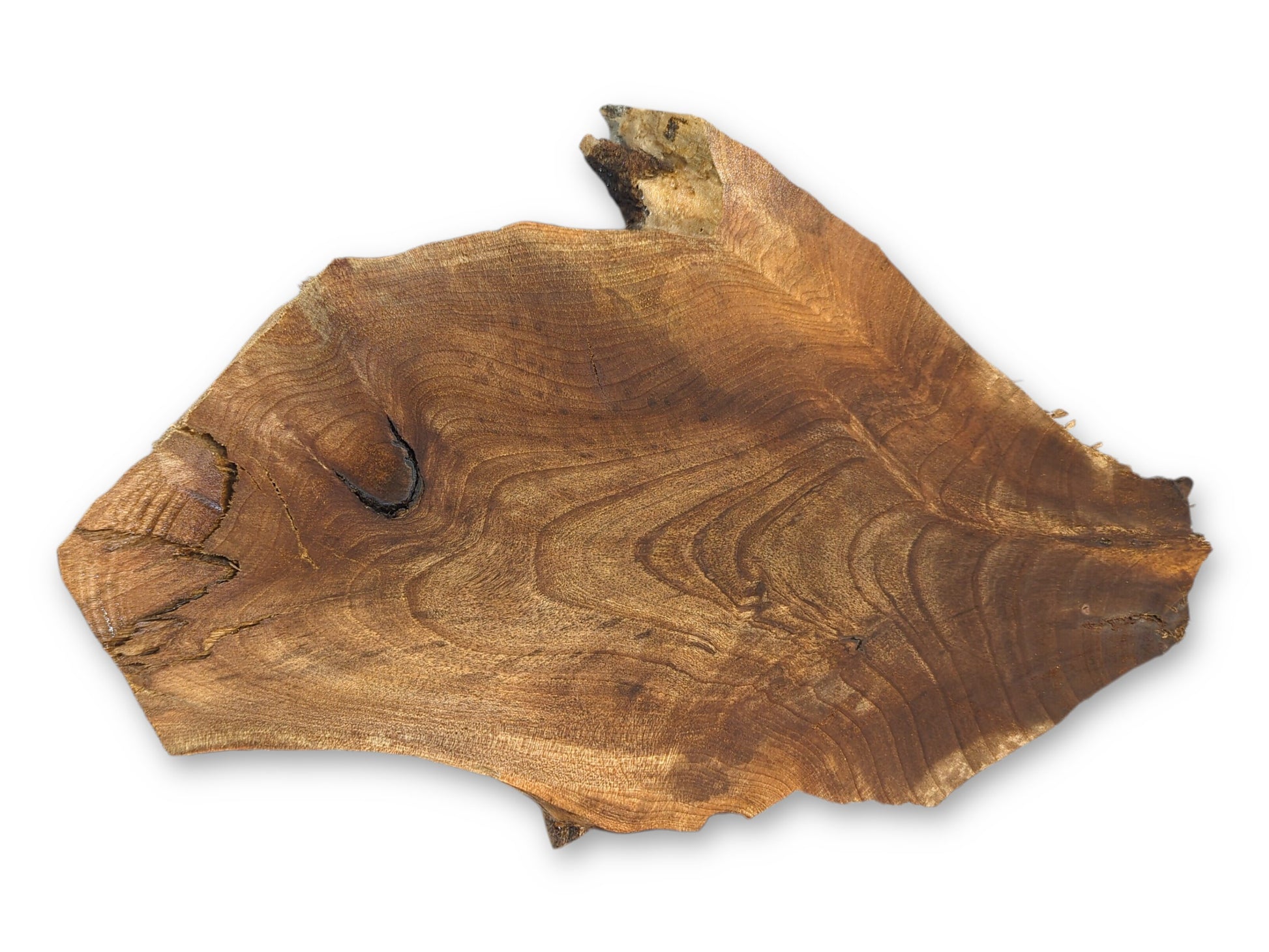 An irregular brown wood slice displays intricate wavy grain patterns, a dark knot, and several visible cracks.