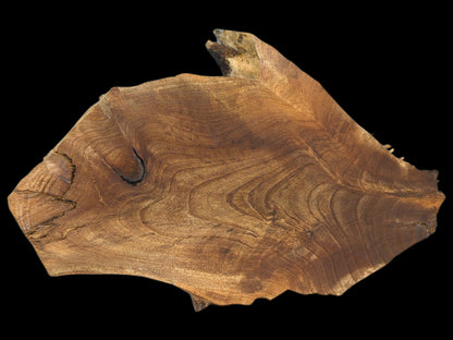 This irregular English walnut root wood slice features prominent wavy grain, rich brown colors, and organic live edges.