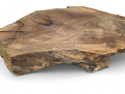 Natural, irregular brown English walnut root wood slice displaying prominent wavy grain, rough edges, and visible cracks.