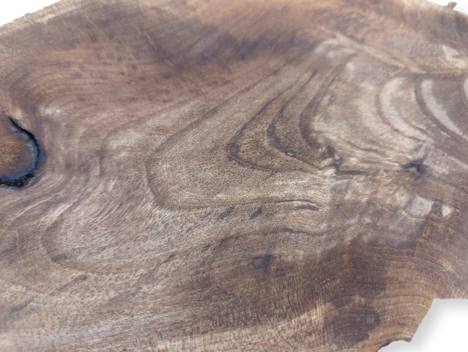 Irregular brown English walnut wood slice featuring prominent dark wavy grain, a knot, and surface variations.