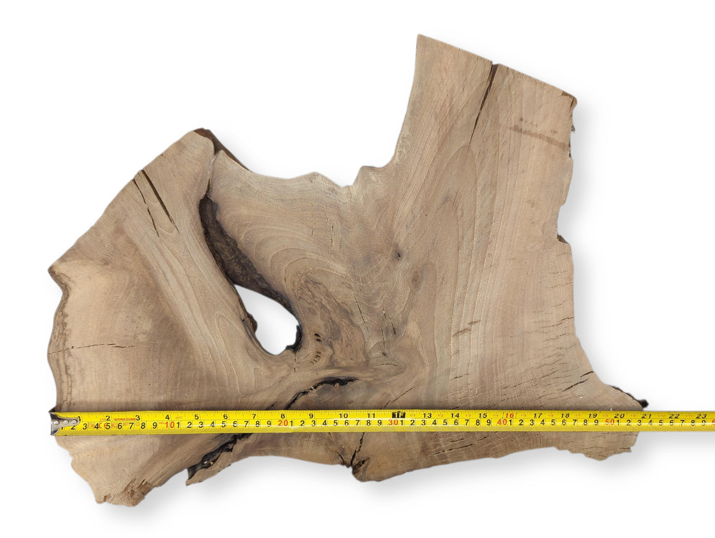 Natural-shaped, light-toned wood slice displaying grain, fissures, an organic void, and a yellow measuring tape.