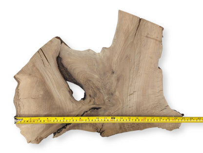 Natural-shaped, light-toned wood slice displaying grain, fissures, an organic void, and a yellow measuring tape.