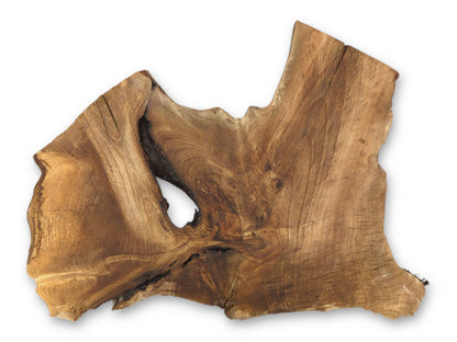 An irregularly shaped English walnut wood slice shows brown tones, natural grain, fissures, and a central void.