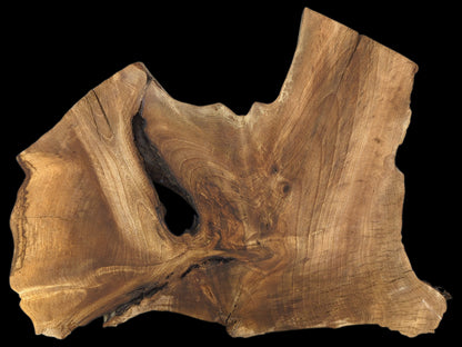 Irregularly shaped brown walnut wood slice featuring a prominent natural void and visible intricate grain patterns.