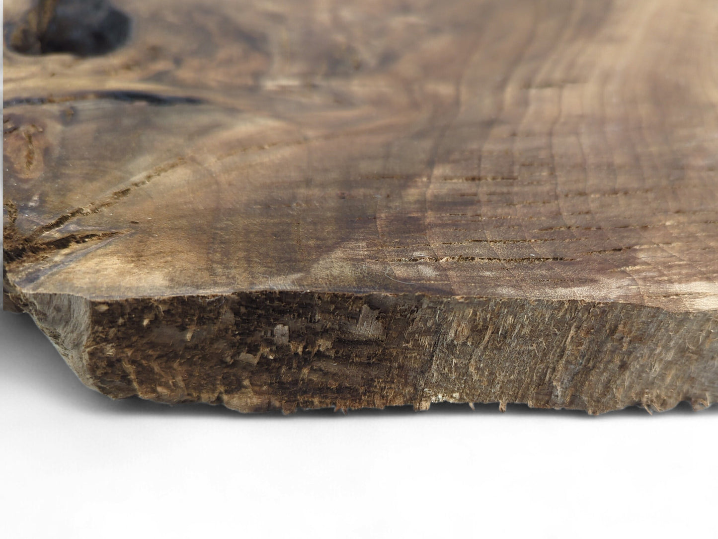Detailed view of a dark brown walnut wood slice's rough live edge and visible top surface grain.