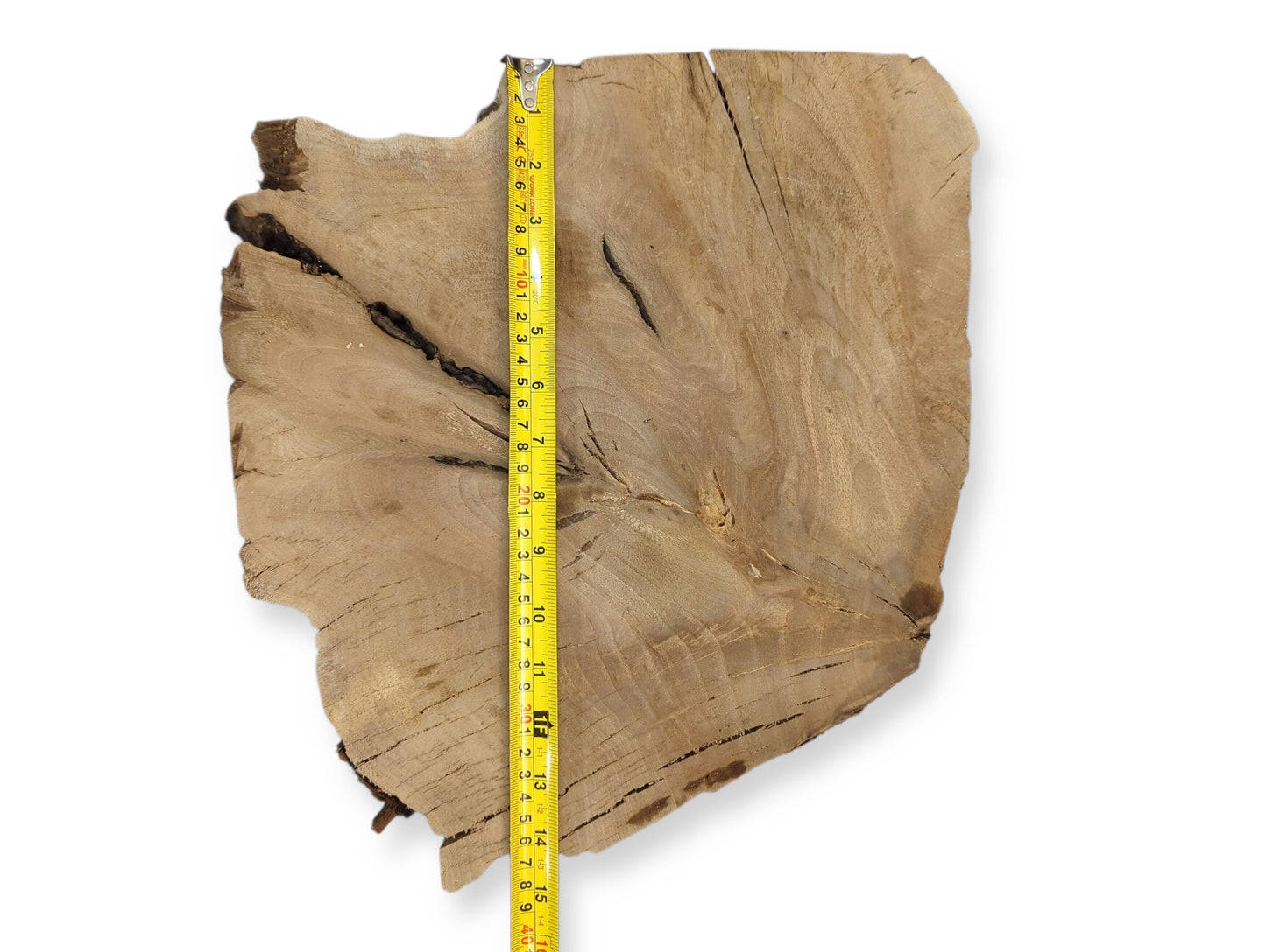 Organic-shaped wood slab, tan with visible concentric grain patterns and dark splits, vertically taped.