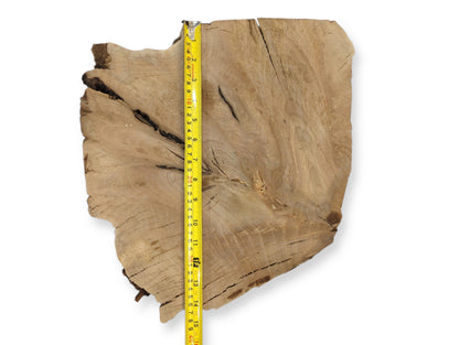 Organic-shaped wood slab, tan with visible concentric grain patterns and dark splits, vertically taped.
