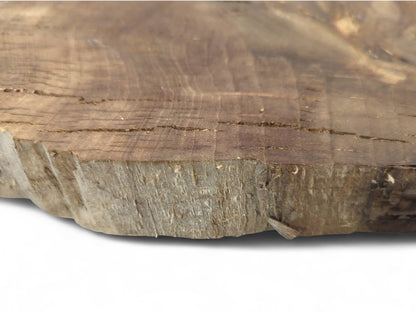 Brown irregular wood slice showing its grainy surface with horizontal cracks and a rough, textured natural edge.