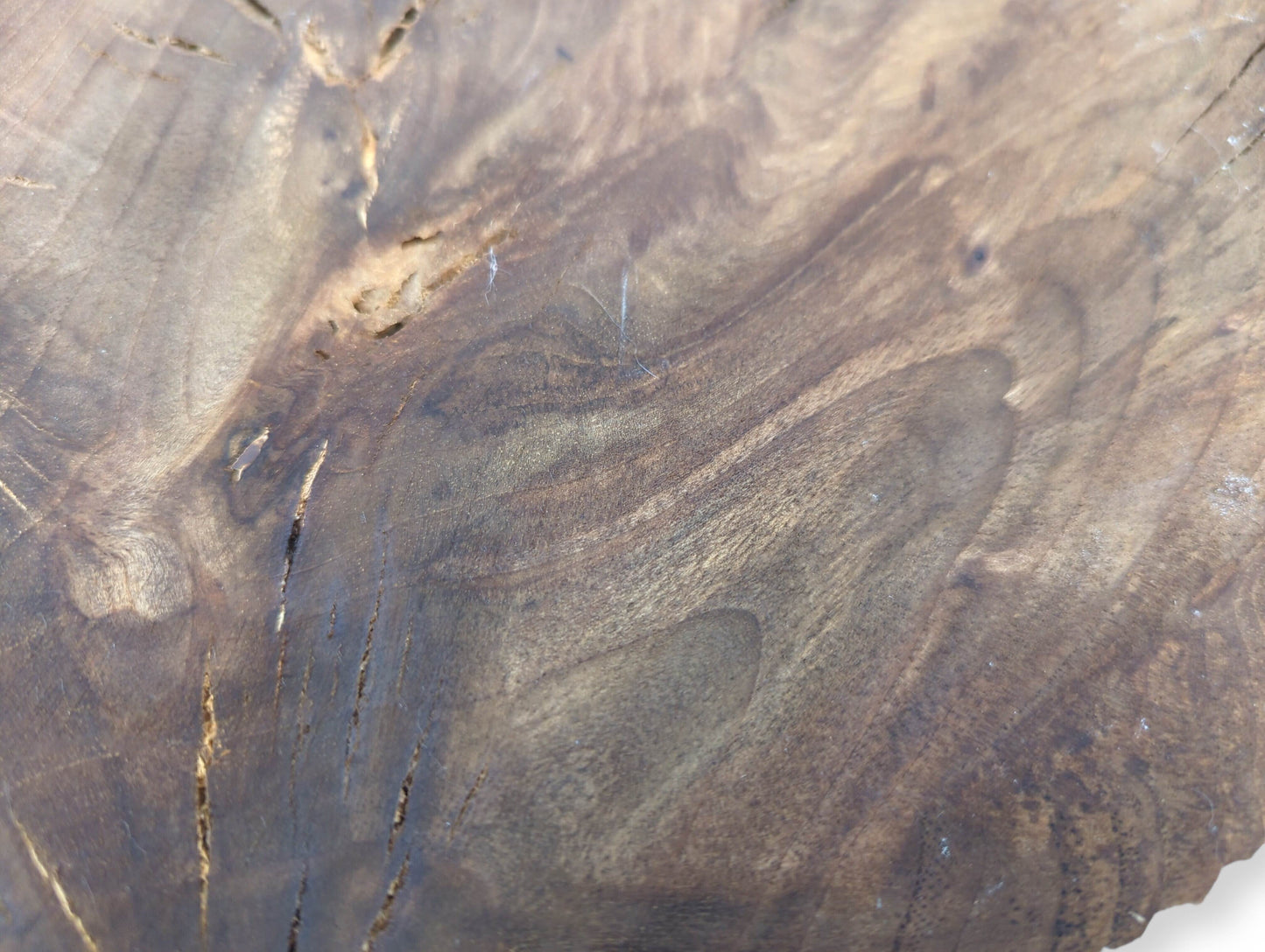 Detailed shot of English walnut root wood, showing swirling grain patterns, deep cracks, and varied brown tones.