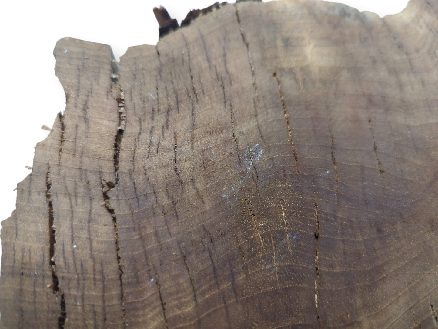 Dark brown walnut wood surface, showing fine grain, distinct concentric lines, and several wide vertical fissures.