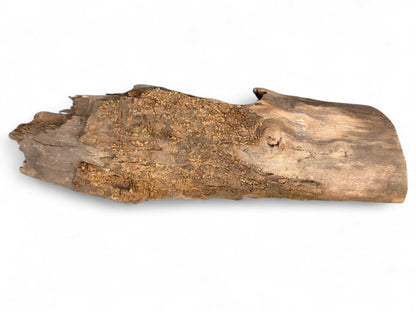 Nature-shaped wood fragment with textured brown bark and exposed lighter wood grain on a white background.