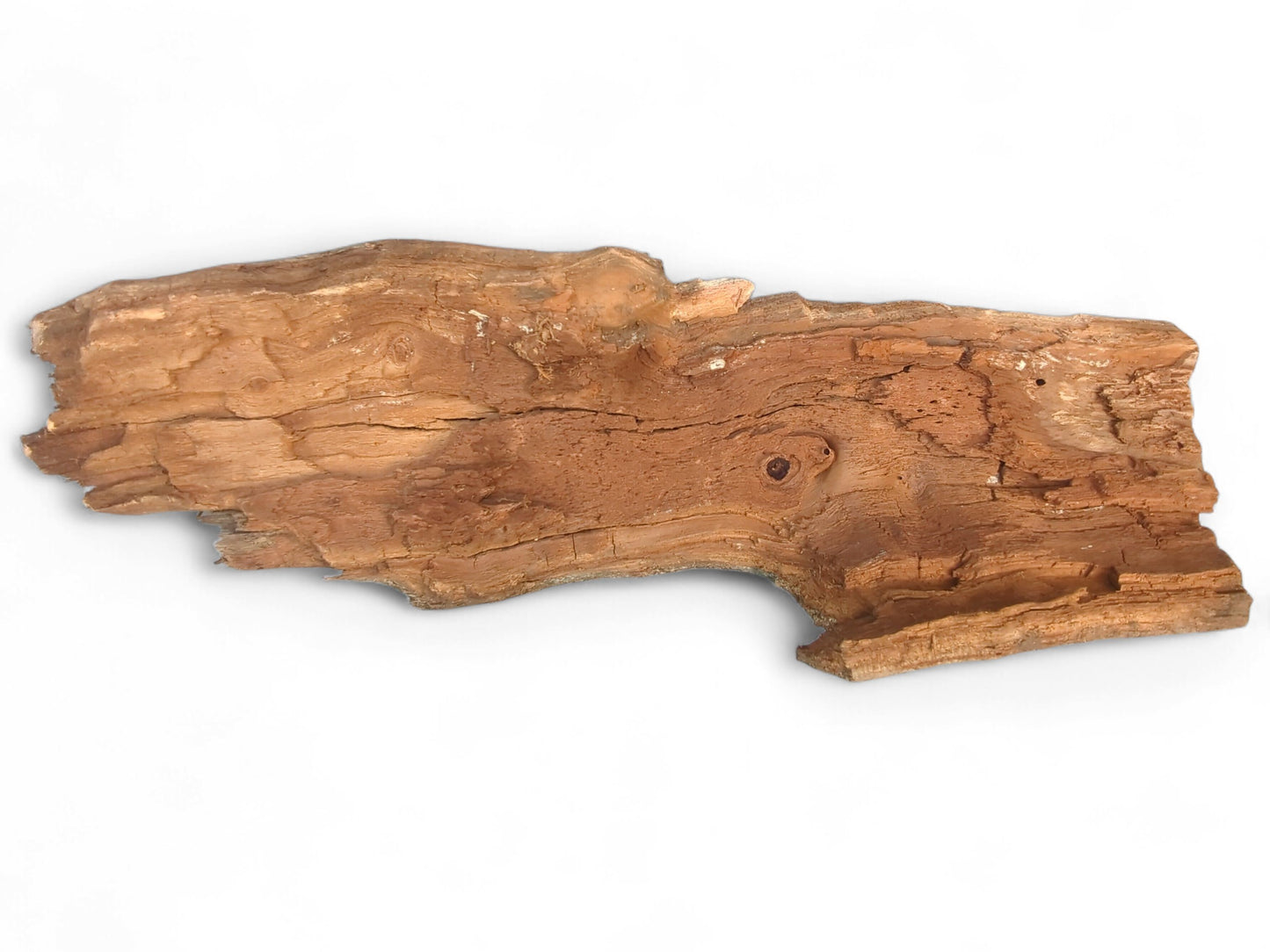 Irregularly shaped, untreated wood fragment with reddish-brown color, visible grain, cracks, and partially intact bark.