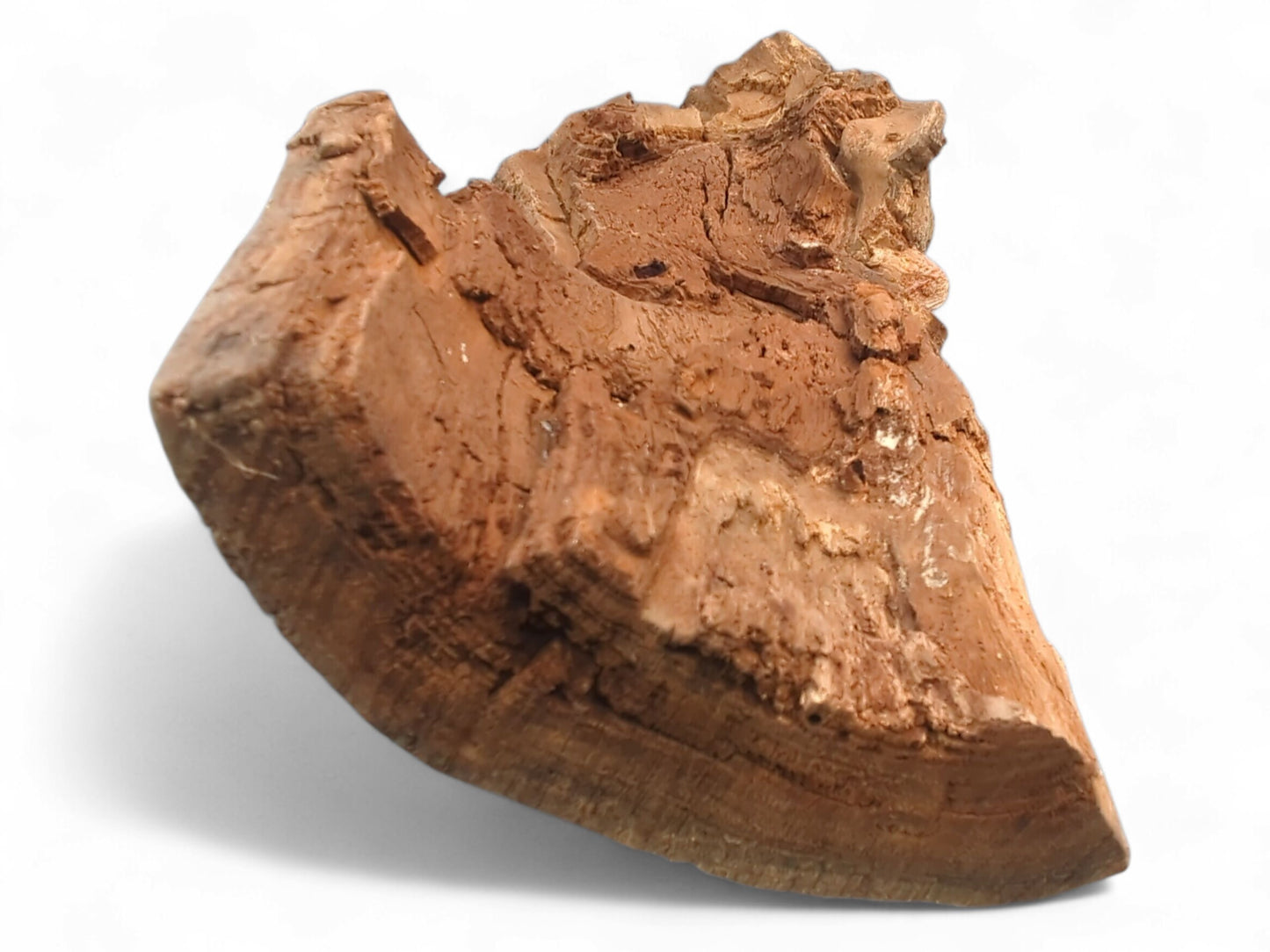 Untreated, irregular wood fragment displaying rough reddish-brown bark, exposed lighter grain, and visible cracks.
