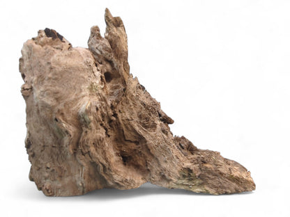 An irregularly shaped, light brown burl wood fragment with a rough, deeply weathered, natural texture.