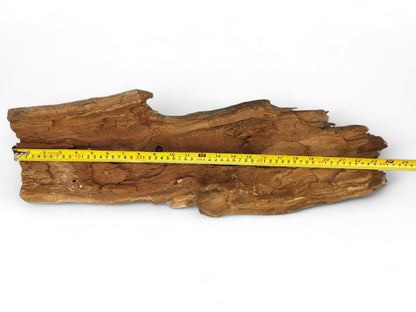 Rough, irregular wood fragment displaying reddish-brown color, visible grain, partially intact bark, and a yellow measuring tape.