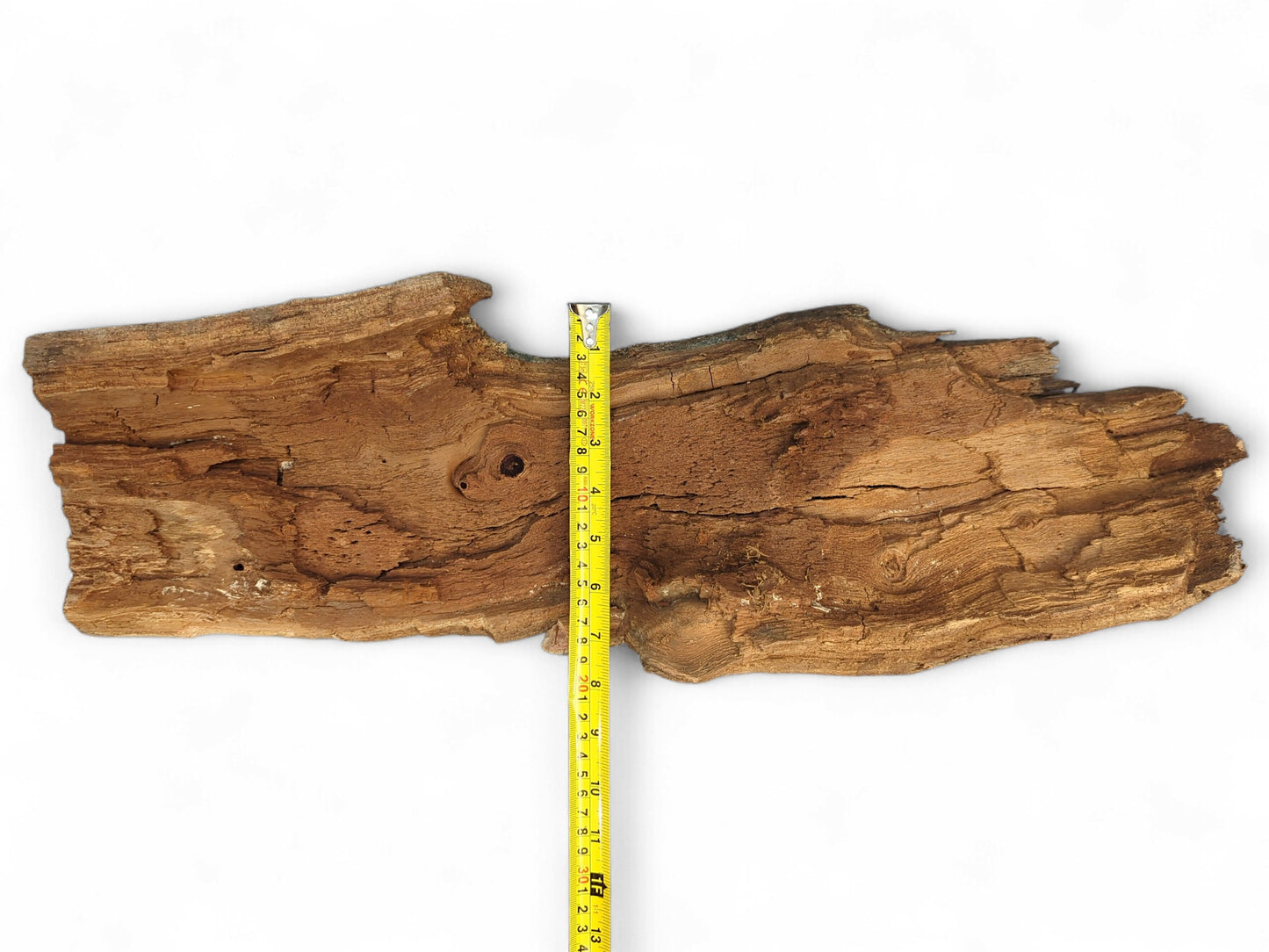 Irregular, weathered brown wood fragment with visible grain, deep cracks, and a vertical yellow measuring tape.