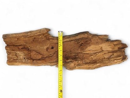 Irregular, weathered brown wood fragment with visible grain, deep cracks, and a vertical yellow measuring tape.