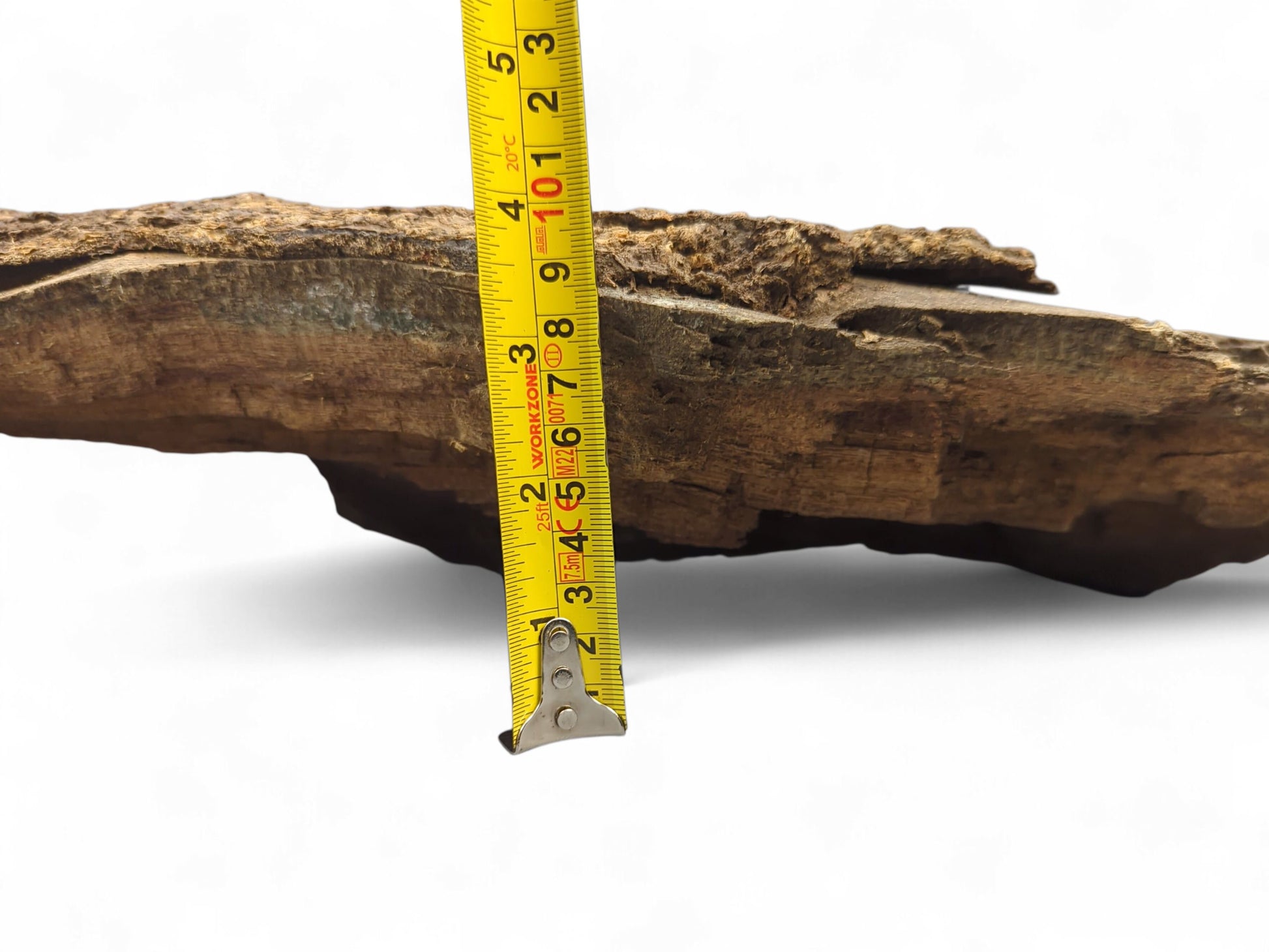 Measuring a rough, nature-shaped wood fragment with dark bark and exposed lighter brown wood grain.