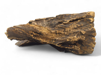 An irregular piece of dark and golden-brown wood, showing deep, weathered textures and cracks.